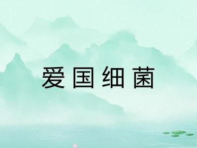 爱国细菌 爱国细菌