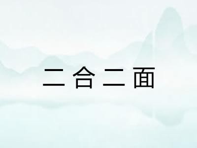 二合二面