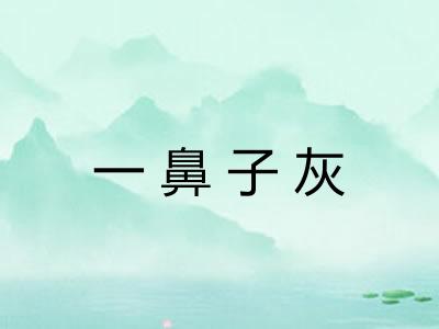 一鼻子灰 一鼻子灰