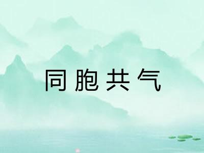 同胞共气 同胞共气