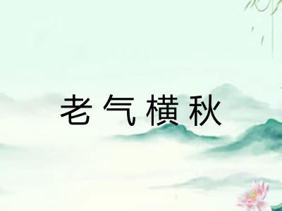 老气横秋 老气横秋