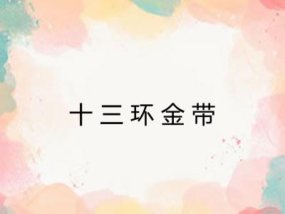 十三环金带 十三环金带