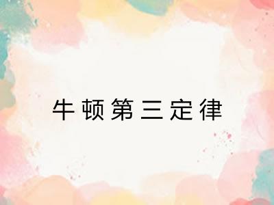 牛顿第三定律 牛顿第三定律