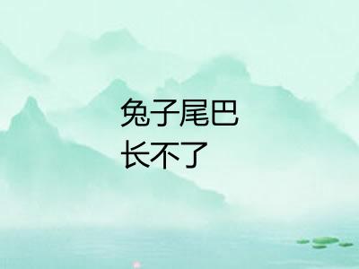 兔子尾巴长不了