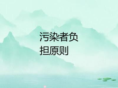 污染者负担原则 污染者负担原则